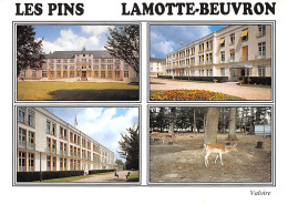 LAMOTTE-BEUVRON  Le Pavillon Jeanne D'Arc - Deux Aspects Du Pavillon Pasteur, Les Daims 16 (scan Recto Verso)MG2892 - Lamotte Beuvron