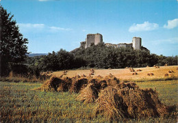 MONTOIRE SUR LE LOIR  Perspective Sur Les Ruines Du Château   19 (scan Recto Verso)MG2892 - Montoire-sur-le-Loir