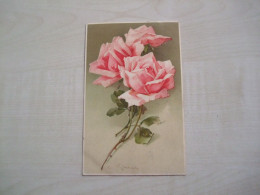 Carte Postale Ancienne 1909 Catharina KLEIN Roses - Klein, Catharina