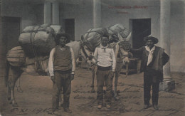 Bolivia.Cochabamba.Arrieros.Rara - Bolivië