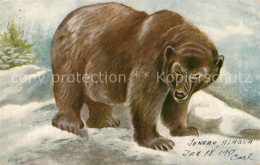 73484271 Bueren Grizzly Bear Juneau Alaska  - Autres & Non Classés