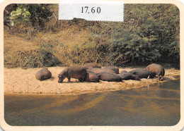 CAMEROUN Hippopotame  Parc National De La Bénoué   9 (scan Recto Verso)MH2901BIS - Camerún