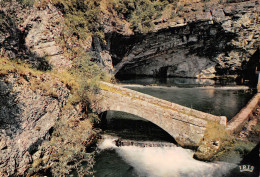 CAHORS  La Fontaine Des Chartreux Ou Source De Divonne  27(scan Recto Verso)MH2912 - Cahors