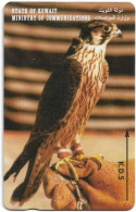 Kuwait - (GPT) - Saker Falcon - 24KWTB (Normal 0), 1995, Used - Koeweit