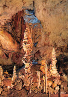 ARDECHE  AVEN D'ORGNAC  Stalagmites En Forme De Pomme De Pin  Hauteur 12 Mètres     35  (scan Recto Verso)MH2921 - Sonstige & Ohne Zuordnung