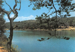 COLOMBIER LE VIEUX   Le Lac  14 (scan Recto Verso)MH2922 - Sonstige & Ohne Zuordnung