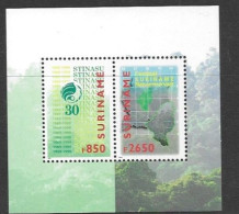 Surinam Mnh ** 1999 Sheet 5 Euros - Surinam