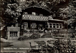 50469207 - Wernigerode - Wernigerode