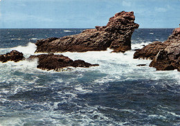 BELLE ILE EN MER  Pointe De Poulains Rocher Du Chien    37 (scan Recto Verso)MH2936 - Belle Ile En Mer