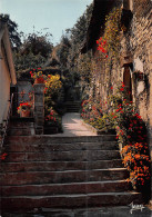 ROCHEFORT EN TERRE   L'escalier Des Douves    35  (scan Recto Verso)MH2937 - Rochefort En Terre