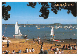 ARRADON   La Plage Et Les Mouillages Du Port De Plaisance     12  (scan Recto Verso)MH2938 - Arradon