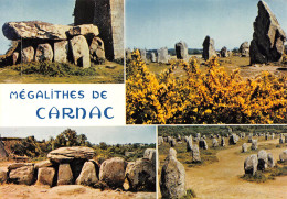 CARNAC    Les Mégalithes   23 (scan Recto Verso)MH2943 - Carnac