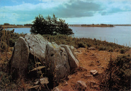 ILE AUX MOINES   La Pointe De Pen-Hap     35 (scan Recto Verso)MH2943 - Ile Aux Moines