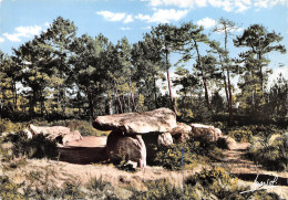 CARNAC  Le Dolmen De KERIAVAL    30 (scan Recto Verso)MH2944 - Carnac