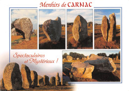 CARNAC  Menhirs Des Alignements Du Menec Et De Kermario     15 (scan Recto Verso)MH2948 - Carnac