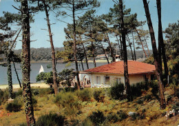 HOSSEGOR  Le Lac Marin à Travers Les Pins   15 (scan Recto Verso)MH2954 - Hossegor