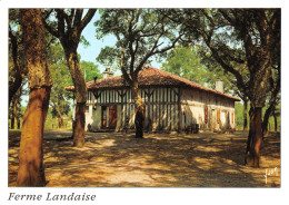 40 LANDES   Une Ferme Landaise             38 (scan Recto Verso)MH2958 - Sonstige & Ohne Zuordnung