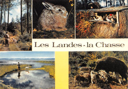 40 LANDES    Les Joies De La Chasse     25 (scan Recto Verso)MH2961 - Andere & Zonder Classificatie