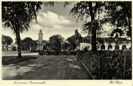 PC SURINAME PARAMARIBO HET PLEIN, VINTAGE POSTCARD (b53706) - Suriname