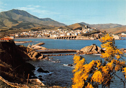 BANYULS SUR MER   Vue Sur La Ville Avec Les Mimosas En Fleurs     8  (scan Recto Verso)MH2972 - Banyuls Sur Mer