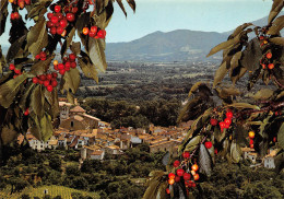 CERET  Vue Générale - Ses Cerises Réputées   16  (scan Recto Verso)MH2972 - Ceret