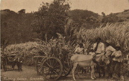 PC GRENADA CARIBBEAN CUTTING CRANES, VINTAGE POSTCARD (b53450) - Grenada