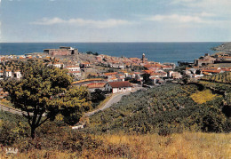 COLLIOURE   Vue Générale. Au Fond, L'église Et Le Château Des Templiers     19 (scan Recto Verso)MH2973 - Collioure