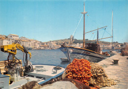 PORT-VENDRES   Le Port Et Bâteaux De Pêche à Quai             43 (scan Recto Verso)MH2973 - Port Vendres