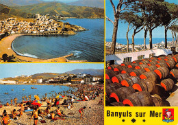 BANYULS SUR MER  Vue Aérienne, Vue Sur La Plage, Les Hauts Lieux Et Vue Sur La Ville    22 (scan Recto Verso)MH2978 - Banyuls Sur Mer