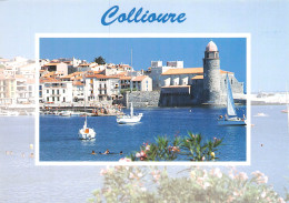 COLLIOURE    Voiliers Au Port       40 (scan Recto Verso)MH2978 - Collioure