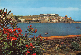 COLLIOURE   Vue Générale    35 (scan Recto Verso)MH2979 - Collioure