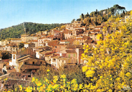 BORMES-LES-MIMOSAS   Le Village   17 (scan Recto Verso)MH2984 - Bormes-les-Mimosas