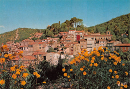 BORMES-LES-MIMOSAS Vue Générale Du Premier Village Fleuri De France     48 (scan Recto Verso)MH2984 - Bormes-les-Mimosas