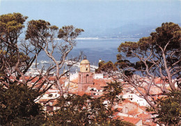 SAINT-TROPEZ Vue Sur Le Clocher Et Les Toits Depuis La Citadelle    7 (scan Recto Verso)MH2985 - Saint-Tropez