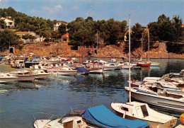 ROQUEBRUNE-LES-ISSAMBRES   Un Coin Du Port     22 (scan Recto Verso)MH2985 - Roquebrune-sur-Argens