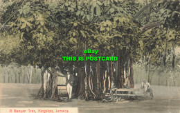 R609673 Jamaica. Kingston. A Banyan Tree. Educational Supply. Series No. 28 - World