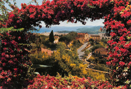 BORMES LES MIMOSAS  Vue Générale    26 (scan Recto Verso)MH2987 - Bormes-les-Mimosas