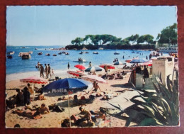 Cpsm Ajaccio ; La Plage De Marinella Et Le Scudo - Ajaccio