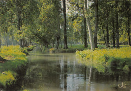 79-MARAIS POITEVIN-N°C4098-C/0349 - Sonstige & Ohne Zuordnung