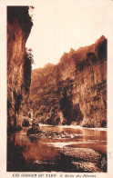 48-GORGES DU TARN-N°LP5114-C/0079 - Gorges Du Tarn