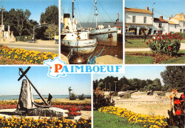 44-PAIMBOEUF-N°C4099-C/0095 - Paimboeuf