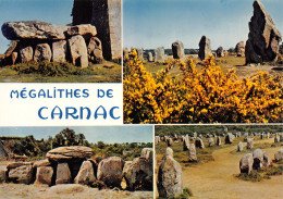 56-CARNAC-N°C4099-A/0081 - Carnac