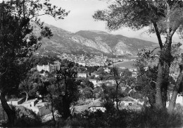 MENTON Vue Prise De Carnoles  34  (scan Recto Verso)MH2902VIC - Menton