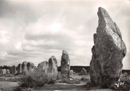 56-CARNAC-N°C4099-D/0223 - Carnac