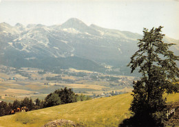 38-VILLARD DE LANS-N°C4100-C/0273 - Villard-de-Lans