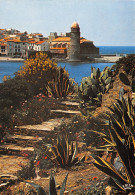 66-COLLIOURE-N°C4100-C/0195 - Collioure