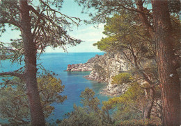 83-PORQUEROLLES-N°C4100-C/0029 - Porquerolles