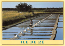 17-ILE DE RE-N°C4100-B/0277 - Ile De Ré