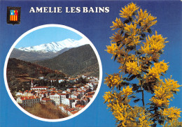 66-AMELIE LES BAINS-N°C4100-A/0295 - Other & Unclassified