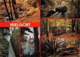 29-HUELGOAT-N°C4100-D/0105 - Huelgoat